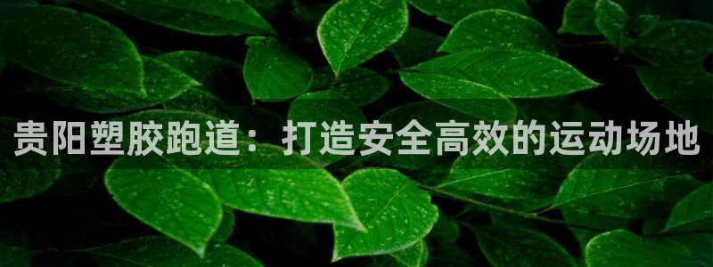 谈球吧的聊天软件叫什么来着：贵阳塑胶跑道：打造安全高