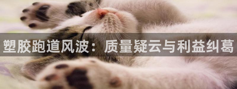谈球吧官网在线入口免费观看视频：塑胶跑道风波：质量疑