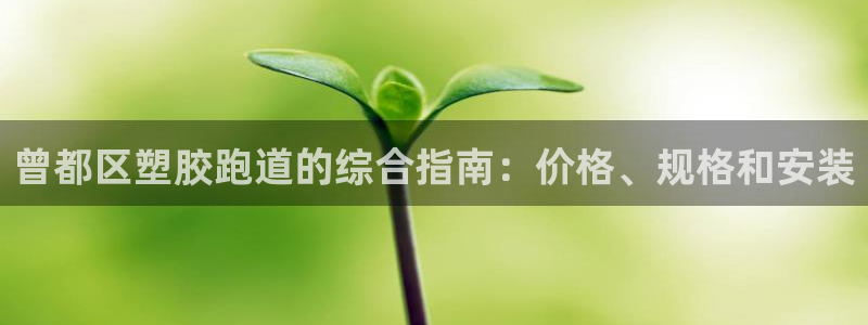 谈球吧买球靠谱吗：曾都区塑胶跑道的综合指南：价格、规