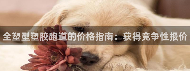 谈球吧最新APP下载：全塑型塑胶跑道的价格指南：获得