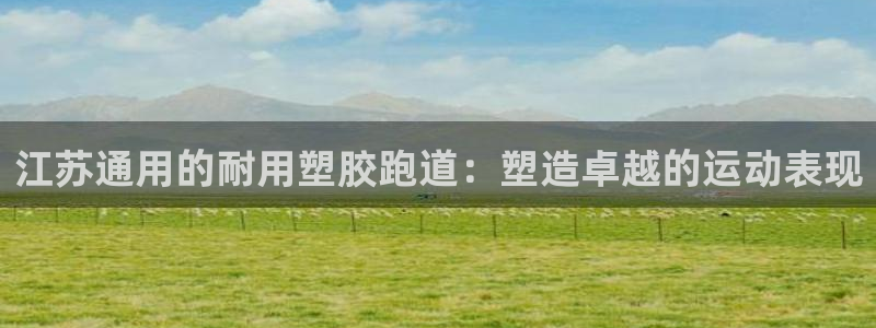 谈球吧的聊天软件叫什么名字：江苏通用的耐用塑胶跑道：