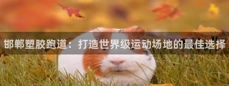 谈球吧买球是正规的吗：邯郸塑胶跑道：打造世界级运动场
