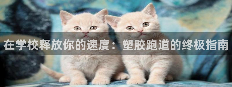 谈球吧官网在线入口手机版下载苹果：在学校释放你的速度