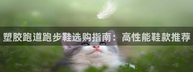 谈球吧官网下载：塑胶跑道跑步鞋选购指南：高性能鞋款推荐
