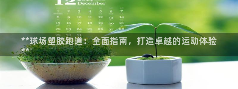 谈球吧网站：**球场塑胶跑道：全面指南，打造卓越的运