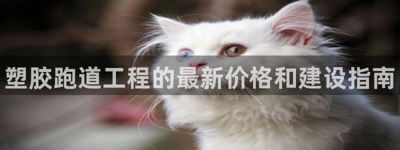 谈球吧体育官方入口：塑胶跑道工程的最新价格和建设指南