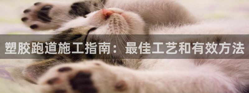 谈球吧体育app登陆不上：塑胶跑道施工指南：最佳工艺和有效方法