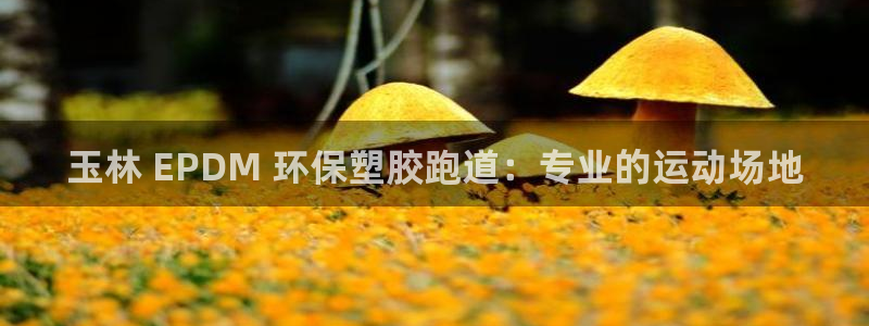 谈球吧官网在线入口手机版免费：玉林 EPDM 环保塑