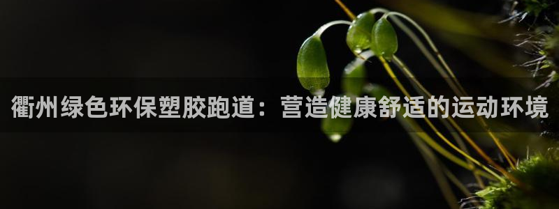 谈球吧app赛事分析：衢州绿色环保塑胶跑道：营造健康