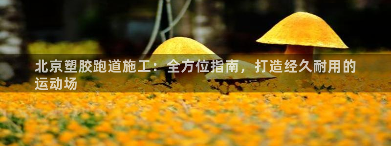 谈球吧平台：北京塑胶跑道施工：全方位指南，打造经久耐