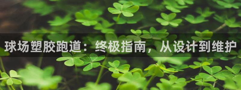 谈球吧属于哪个旗下的品牌：球场塑胶跑道：终极指南，从