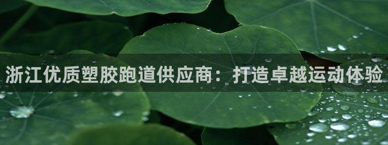 谈球吧在线登陆：浙江优质塑胶跑道供应商：打造卓越运动