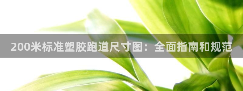 谈球吧网页版在线入口：200米标准塑胶跑道尺寸图：全
