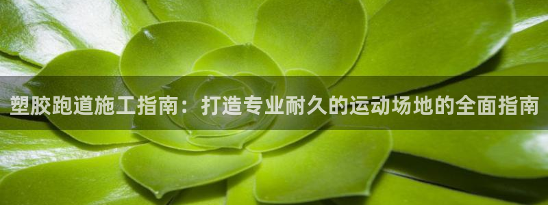 谈球吧黑款不：塑胶跑道施工指南：打造专业耐久的运动场地的全面指南