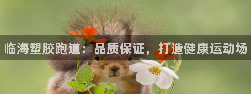 谈球吧官网登录：临海塑胶跑道：品质保证，打造健康运动