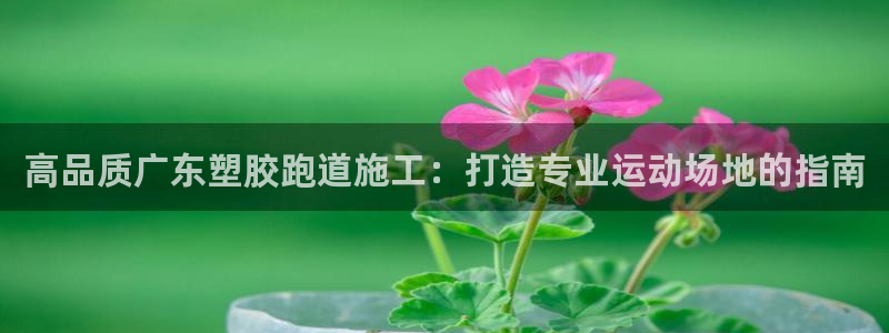 谈球吧app赛事分析在哪里看：高品质广东塑胶跑道施工