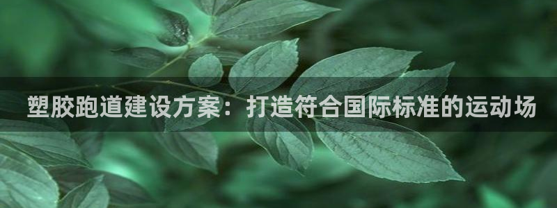 谈球吧APP开元： 塑胶跑道建设方案：打造符合国际标