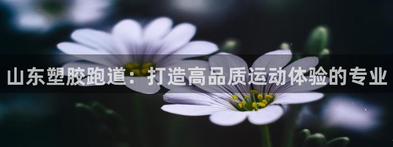 谈球吧网址：山东塑胶跑道：打造高品质运动体验的专业