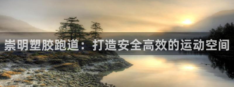 谈球吧体育app下载足球比赛：崇明塑胶跑道：打造安全