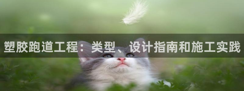 谈球吧官网在线入口手机版免费：塑胶跑道工程：类型、设