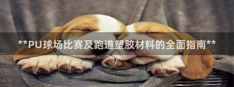 谈球吧娱乐app下载官网苹果版：**PU球场比赛及跑