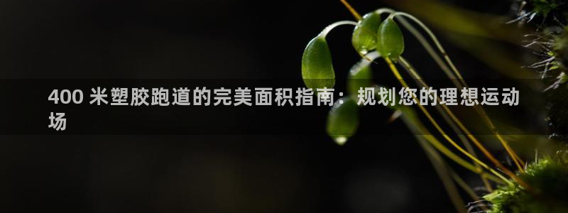 tqb谈球吧：400 米塑胶跑道的完美面积指南：规划