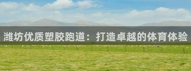 谈球吧算违法行为吗知乎：潍坊优质塑胶跑道：打造卓越的体育体验