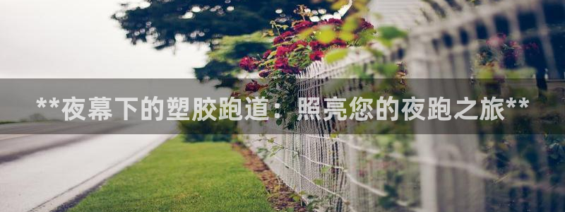 谈球吧出款怎样?：**夜幕下的塑胶跑道：照亮您的夜跑之旅**