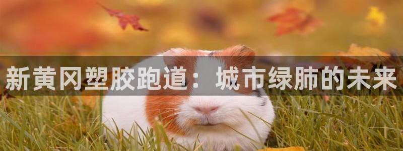 谈球吧平台正规吗可靠吗安全吗