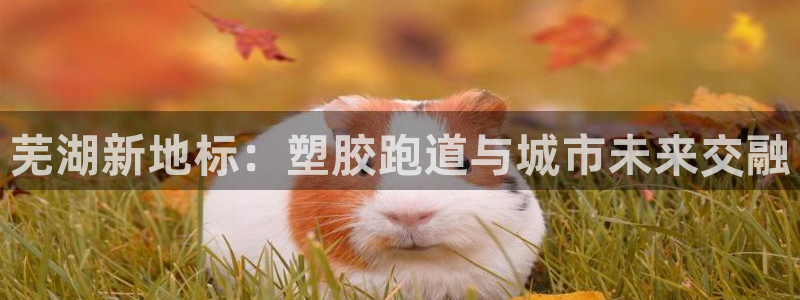 谈球吧的聊天软件