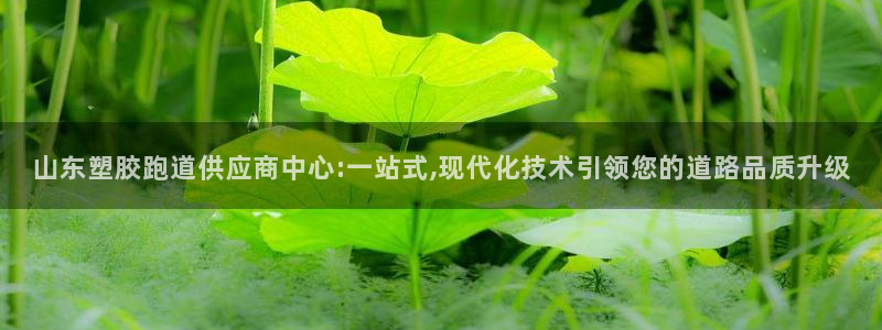 谈球吧体育综合