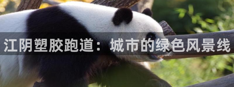 谈球吧言网入口
