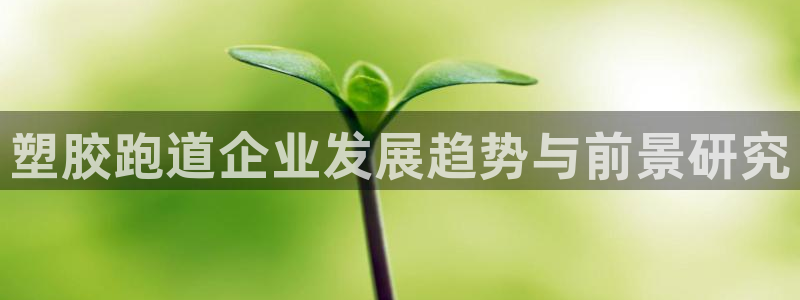 谈球吧账号有人收吗