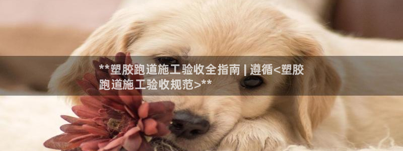 谈球吧体育赛事入口