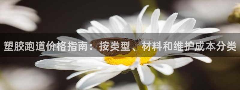 谈球吧是否诈骗：塑胶跑道价格指南：按类型、材料和维护
