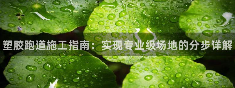谈球吧App：塑胶跑道施工指南：实现专业级场地的分步详解