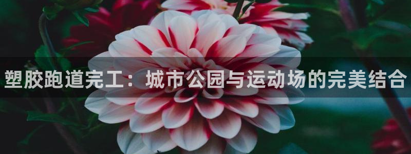 谈球吧体育app下载足球直播软件