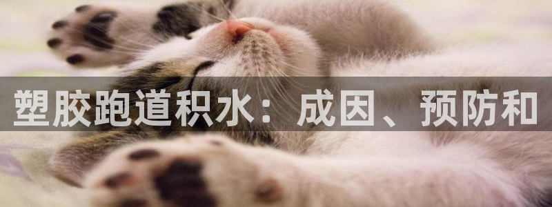 谈球吧体育ios下载