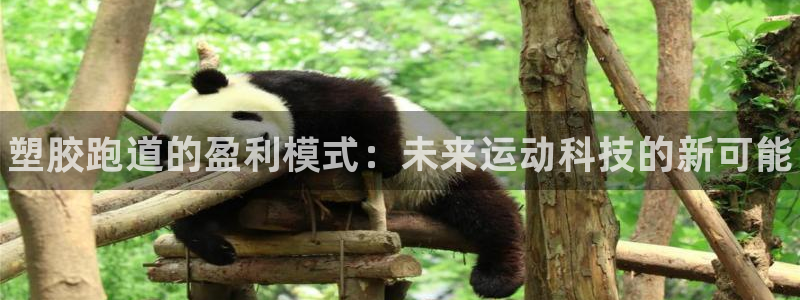 谈球吧体育app下载中心