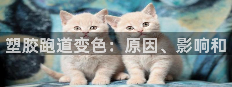 谈球吧app体育下载：塑胶跑道变色：原因、影响和