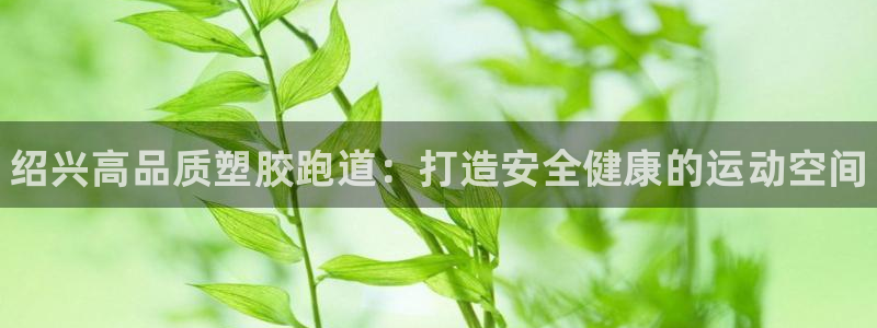 谈球吧全站app下载手机版：绍兴高品质塑胶跑道：打造