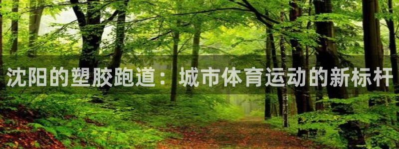 谈球吧能提现不