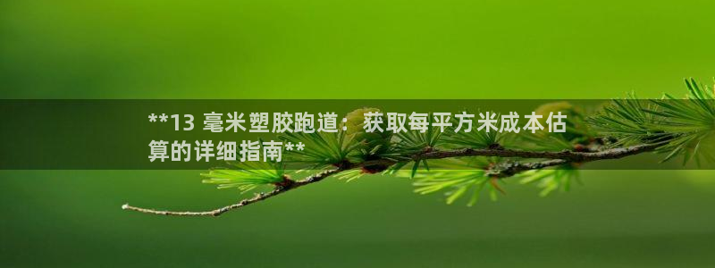 谈球吧是正规平台吗安全吗：**13 毫米塑胶跑道：获