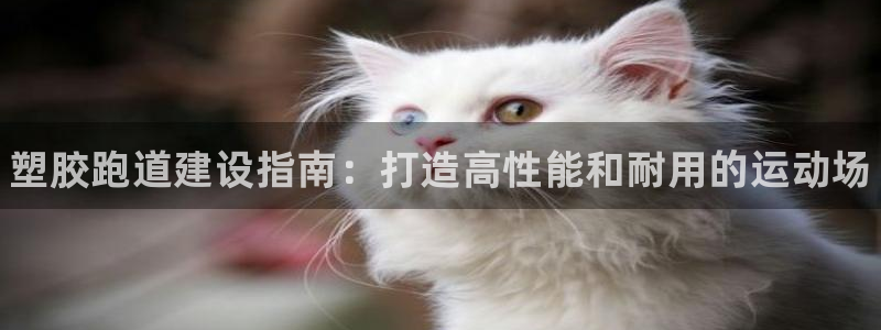 谈球吧综合官网app：塑胶跑道建设指南：打造高性能和