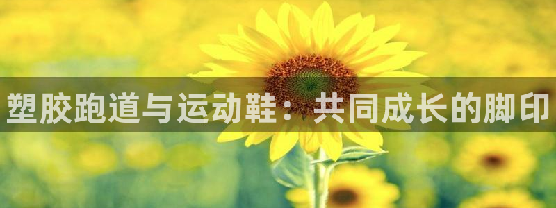 谈球吧体育官方入口