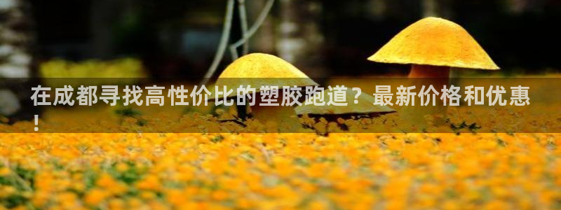 谈球吧官网在线入口免费观看高清视频：在成都寻找高性价