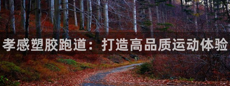 谈球吧官网在线入口免费观看视频下载：孝感塑胶跑道：打