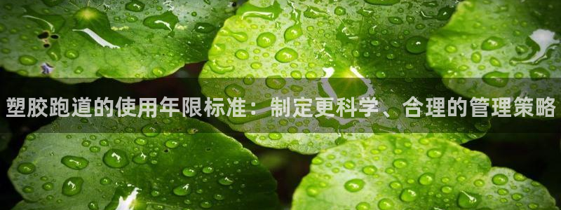 谈球吧体育app下载中心官方网站：塑胶跑道的使用年限标准：制