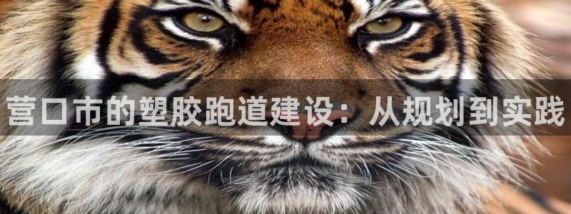 谈球吧体育app下载官网苹果手机：营口市的塑胶跑道建设：从规